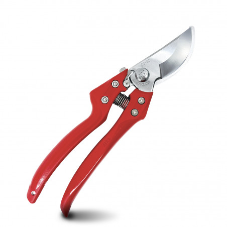 Sécateur fruitier