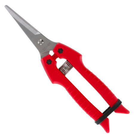 Sécateur à fruit ARS 18 cm