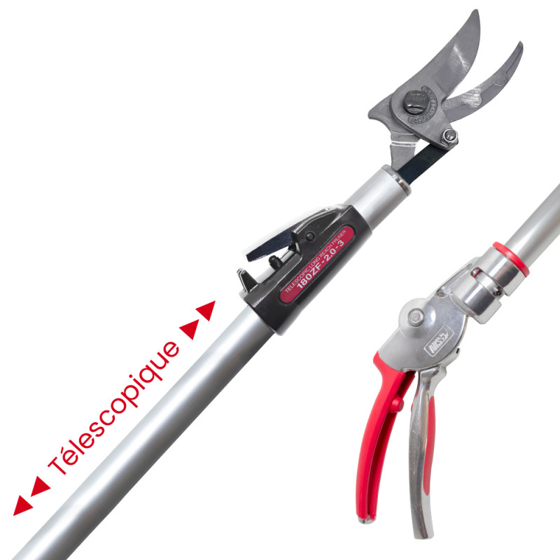 Sécateur long manche téléscopique