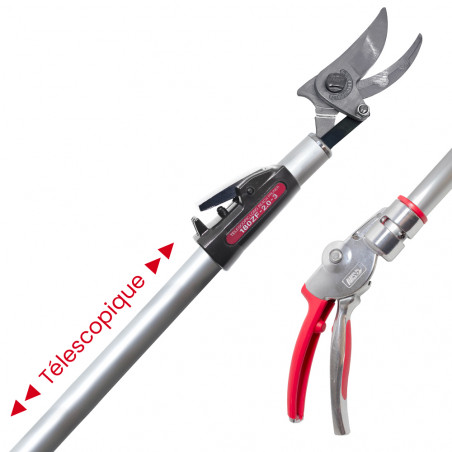Sécateur long manche téléscopique