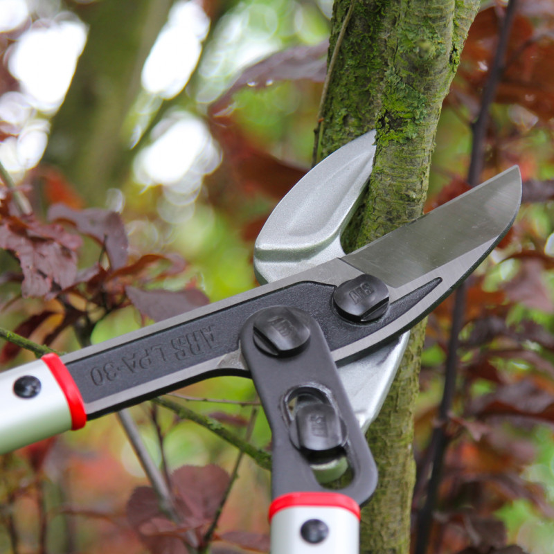 Ebrancheur ARS 81 cm