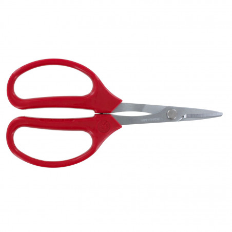 Ciseaux bricolage ARS 15.8 cm