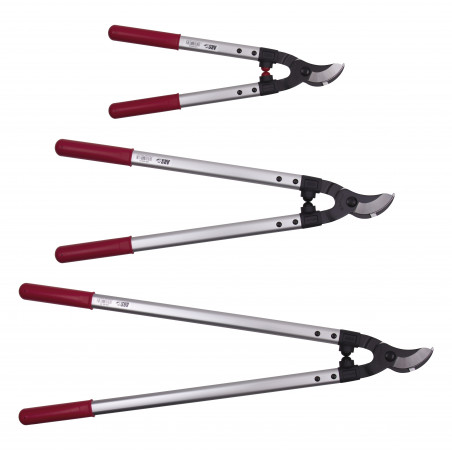 Ebrancheur ARSLPB30 (plusieurs tailles)