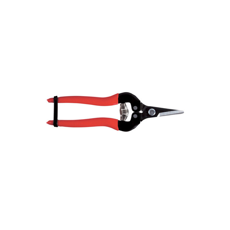 Sécateur à fruit ARS 17 cm