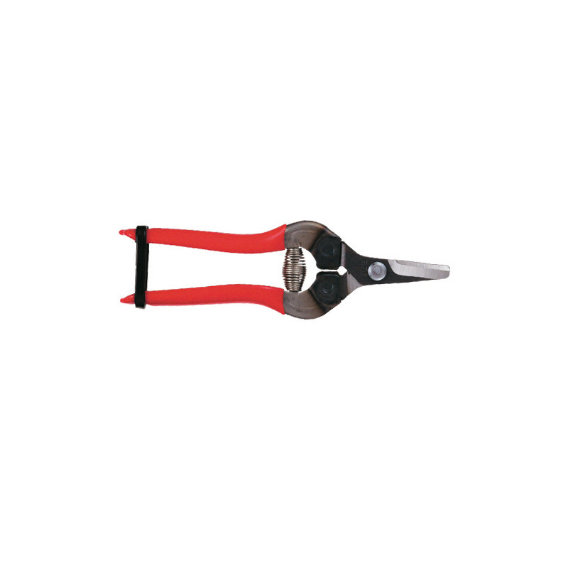 Sécateur à fruit ARS 16 cm