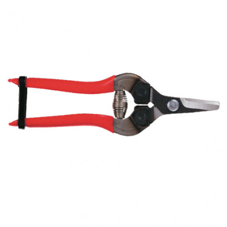 Sécateur à fruit ARS 16 cm