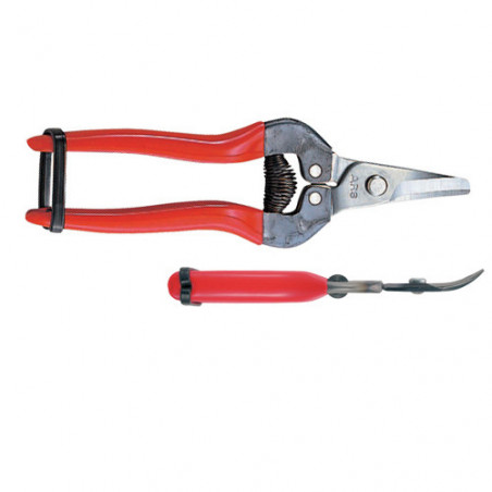 Sécateur à fruit ARS 17 cm 2