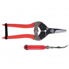 Sécateur à fruit ARS 16 cm