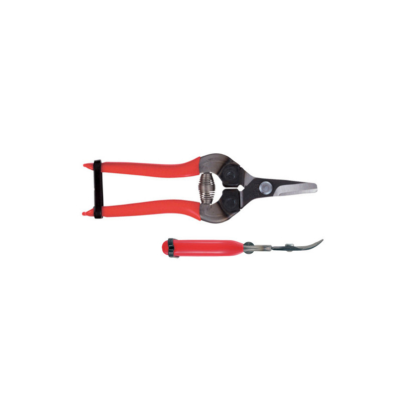 Sécateur à fruit ARS 16 cm