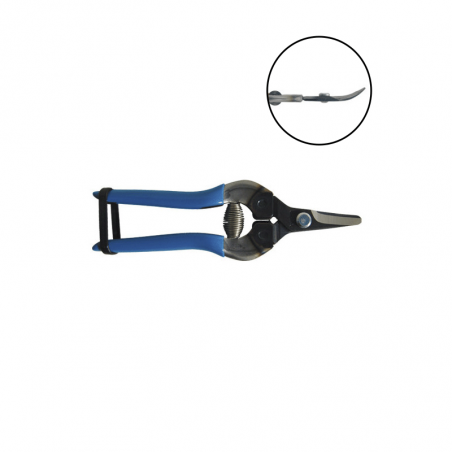 Sécateur à fruit ARS 16 cm