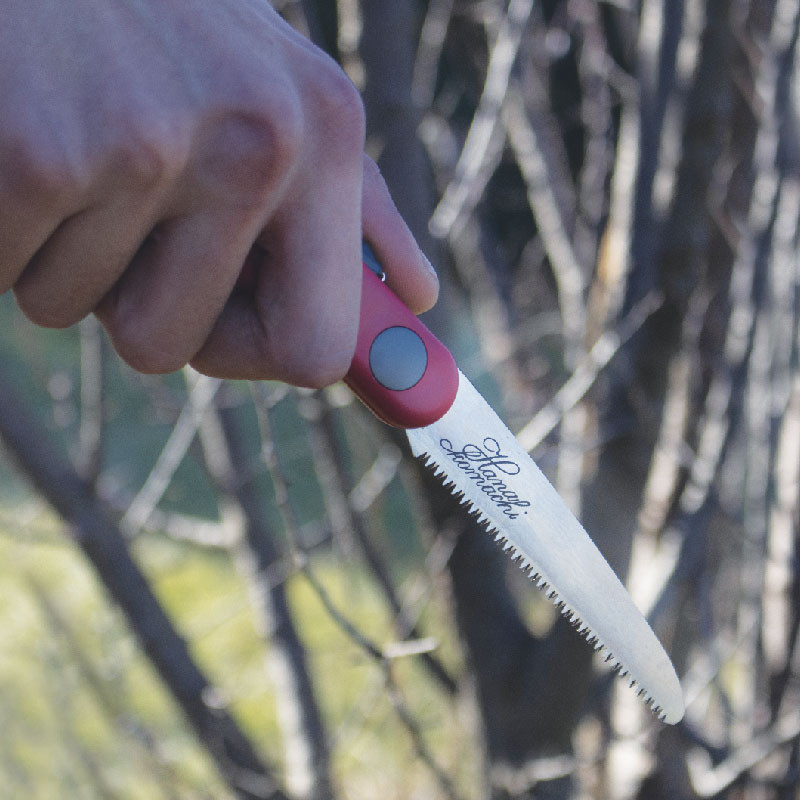 Scie 22 cm denture fine