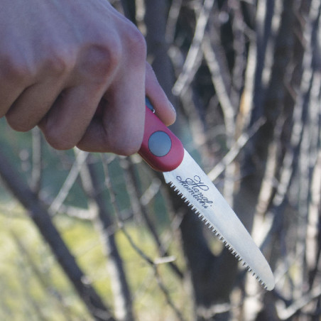 Scie 22 cm denture fine 2